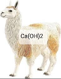 indir.jpeg.jpg