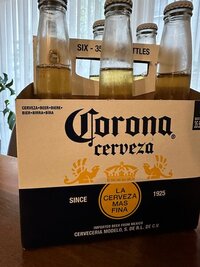 IMG_7175.jpeg