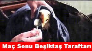 1705789245645.png