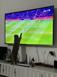 IMG_1281.jpeg