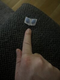 IMG_7809.jpeg