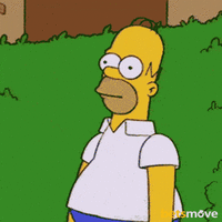 the-simpson-simpson.gif