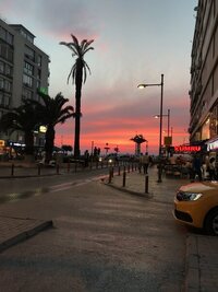 IMG_1782.jpeg