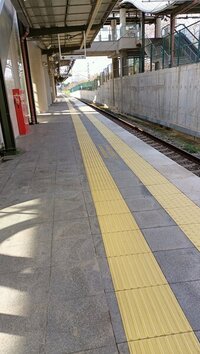 IMG20240131153340.jpg