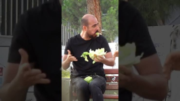 1707380401654.png 1707380401654.png