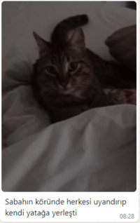 1707720713702.png
