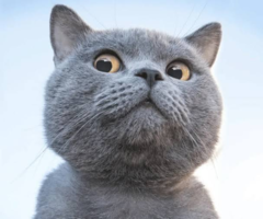 1708199119896.png
