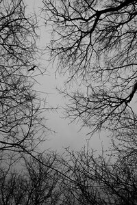 IMG_3112.jpeg