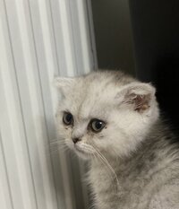 IMG_7522.jpeg