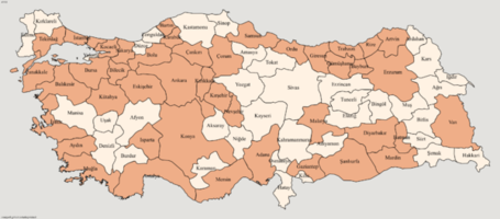 IMG_7784.png