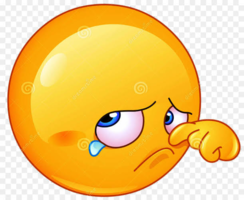 1709656167393.png