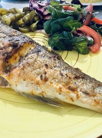 IMG_4243.jpeg