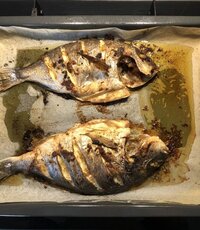 IMG_8352.jpeg