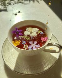 IMG_7330.jpeg