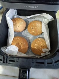 IMG_20240320_181258.jpg