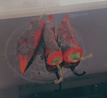 IMG_7653.jpeg