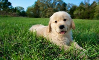 IMG_0575.jpeg