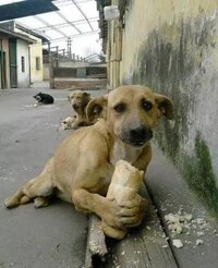 IMG_0574.jpeg