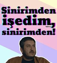 IMG_7762.jpeg