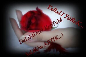 IMG_7935.jpeg