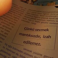 IMG_6279.jpeg