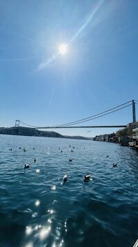 IMG_5550.jpeg
