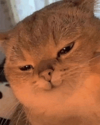 1712948202621.png