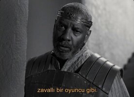 98F2CA3E-334B-4655-9048-A9727F89ABED.jpeg
