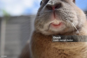 1713084326184.png 1713084326184.png
