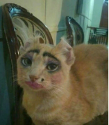 1713191360453.png 1713191360453.png