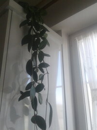 20240416_164628.jpg