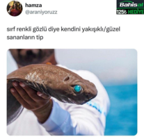 1713445097511.png