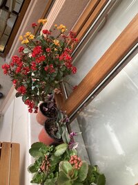 IMG_0766.jpeg