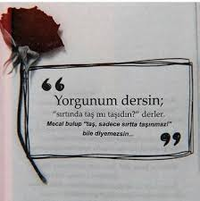 1713911036074.png