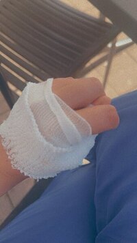 IMG_8137.jpeg IMG_8137.jpeg