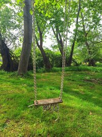 IMG_7802.jpeg