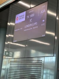 IMG_8428.jpeg