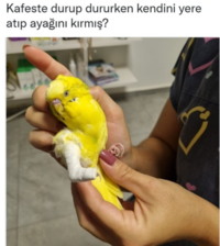 1715092275633.png