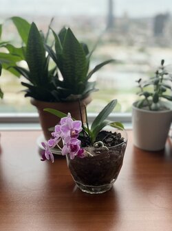 IMG_5125.jpeg