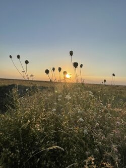 IMG_5580.jpeg