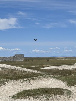 IMG_5322.jpeg