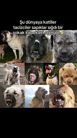 FB_IMG_1717164967466.jpg