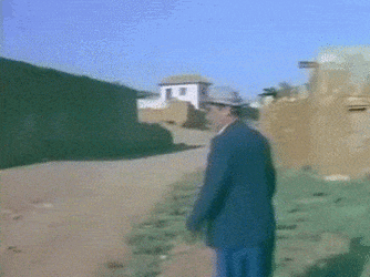 vVzM3x.gif vVzM3x.gif