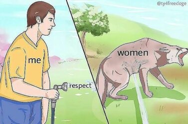images (32).jpeg