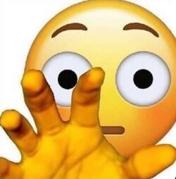 images (35).jpeg