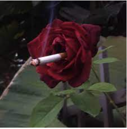 1720608618658.png